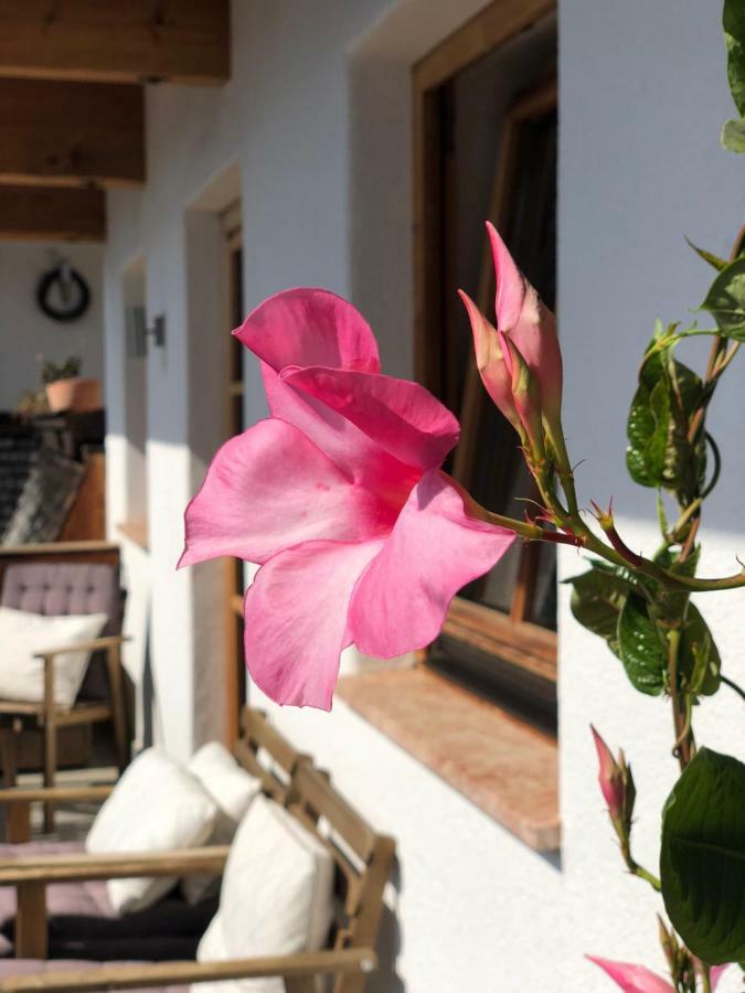 Alpbach 646 Διαμέρισμα Εξωτερικό φωτογραφία